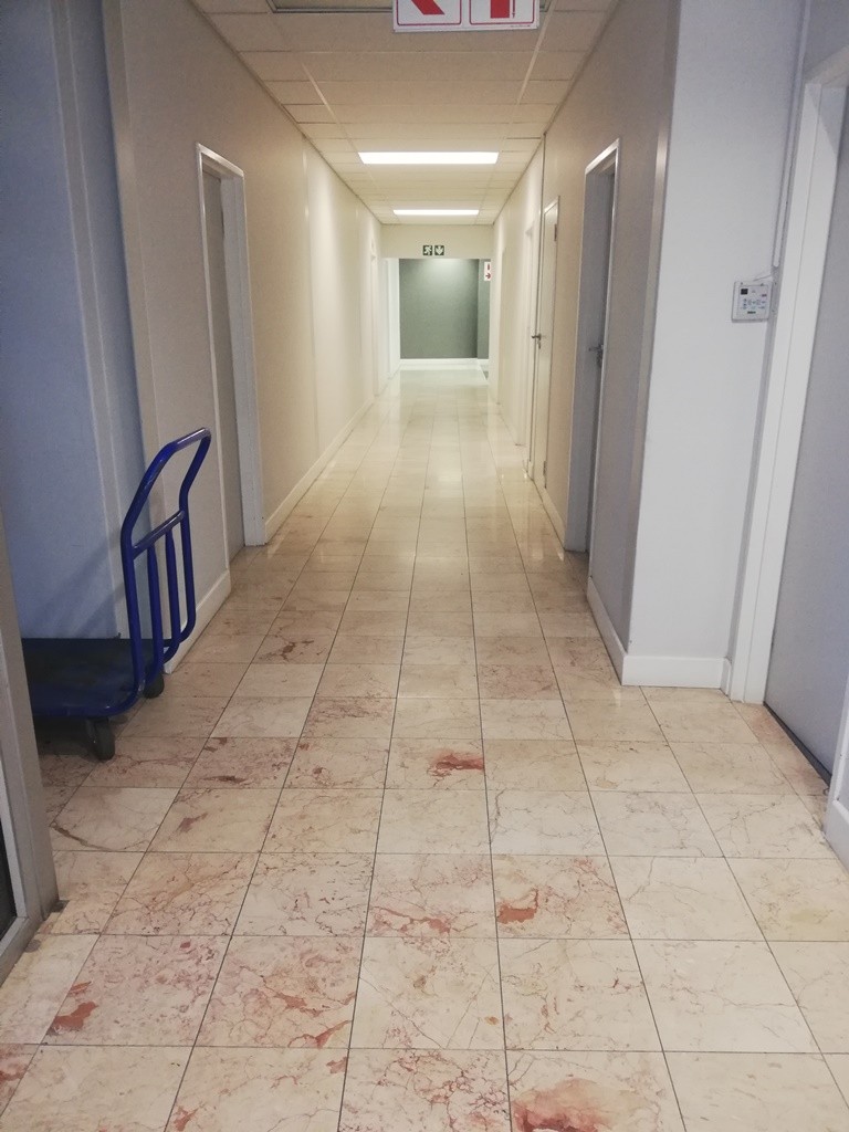 To Let Commercial Property for Rent in Epping Industrial Western Cape